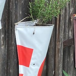 PflanzenBasis Beispiel 3